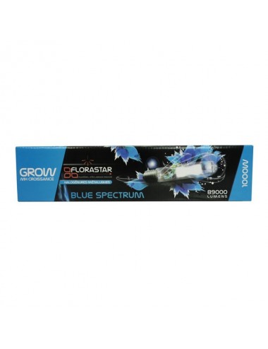 AMPOULE MH 1000W GRO 6000K...