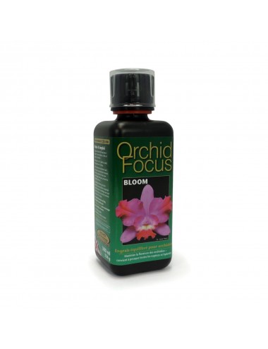 ORCHID FOCUS BLOOM 300 ML