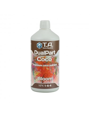 T.A. DUALPART COCO BLOOM...