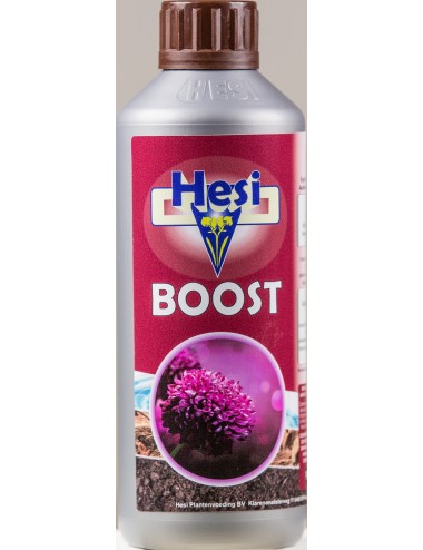 HESI BOOST 500ML