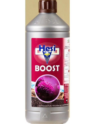 HESI BOOST 1L