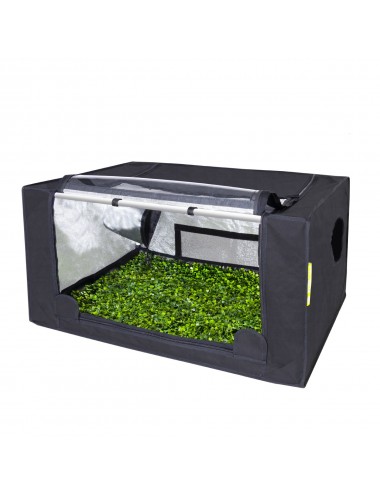 PROBOX PROPAGATOR M -...