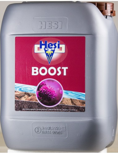 HESI BOOST 10L 