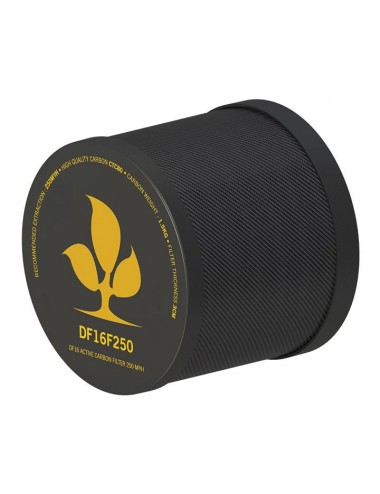 CARBON FILTER 250m3/h -...