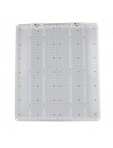 AGROLIGHT LED - Quantum...