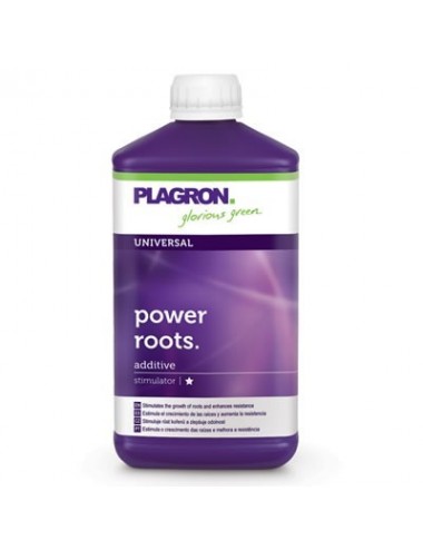 PLAGRON POWER ROOTS - 1 L