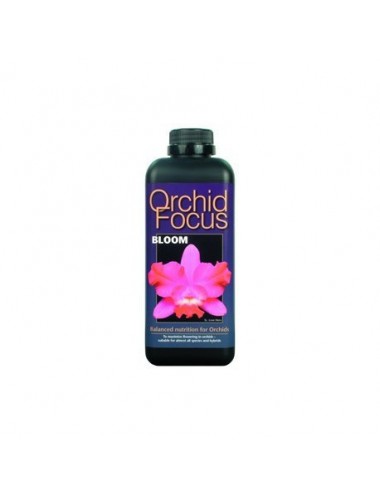 ORCHID FOCUS BLOOM 1L