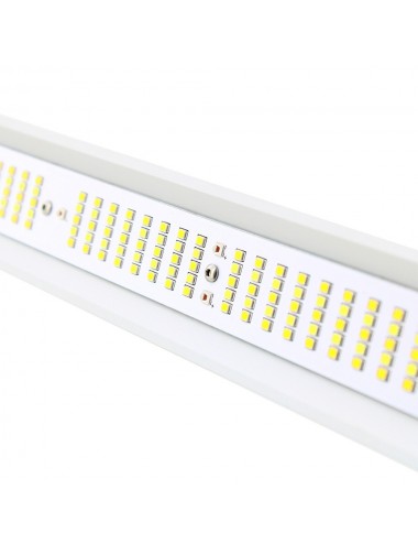 FLORASTAR LED - GTA 2.8 - 680W