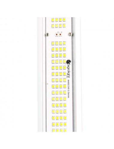 AGROLIGHT LED - AMBER...