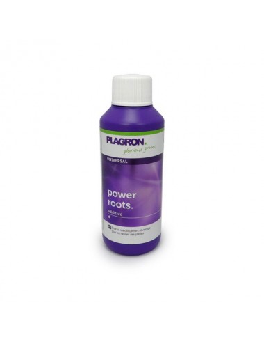 PLAGRON POWER ROOTS - 100ML