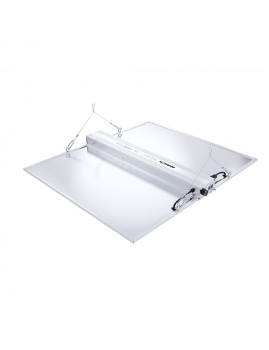 LED RG Serie 480W - NANOLUX