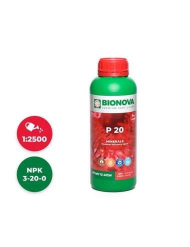 BIO NOVA P 20% - 1 L