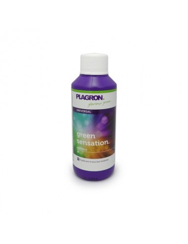 PLAGRON GREENSENSATION - 100ML