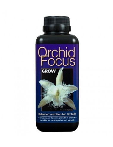 ORCHID FOCUS GROW 1L