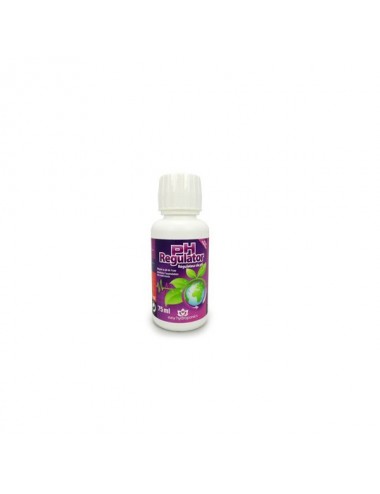 EASY HYDROPONIC - PH- 75 ML...