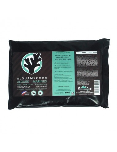 ALGUAMYCOR Poudre - Sachet...